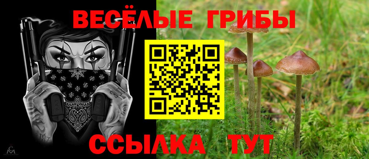 Псилоцибиновые грибы ЛСД  Галлюциногенные грибы GOLDEN TEACHER  Вход с VPN  Апатиты 